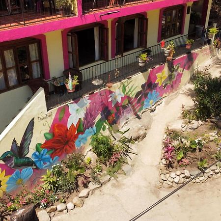La Posada Pacifica Puerto Vallarta Ngoại thất bức ảnh